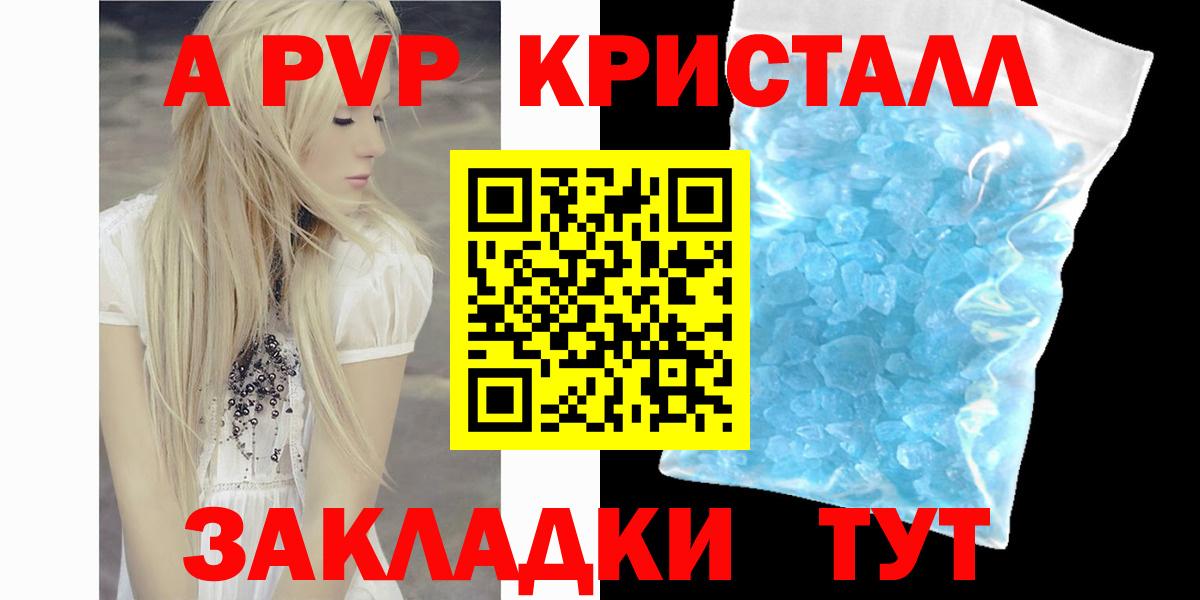 Альфа ПВП СК КРИС Курчалой