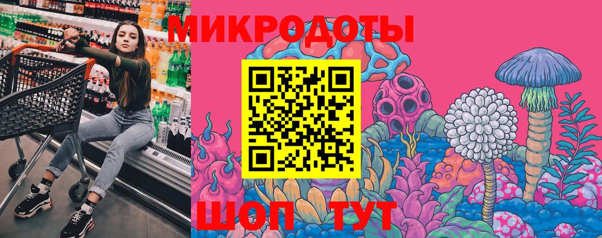 Курчалой  Галлюциногенные грибы Magic Shrooms  цены наркотик  Вход с VPN 